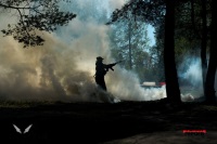 Новость от 21.07.2016