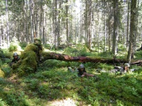 Новость от 28.08.2017