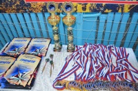 Соревнования по Дартсу 18.11.2018