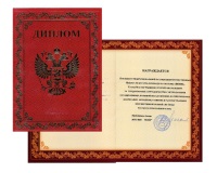 Диплом от Межрегиональной общественной организации Ветеранов боевых действий «ВОИН»