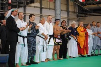 Участников Главной Арены было всего 8, они тщательно отбирались организаторами чемпионата WTKA из множества различных направлений боевых искусств по всему миру. Среди Гранд Мастеров совета были такие уважаемые и легендарные личности как Хироо Мачизуки (Hi